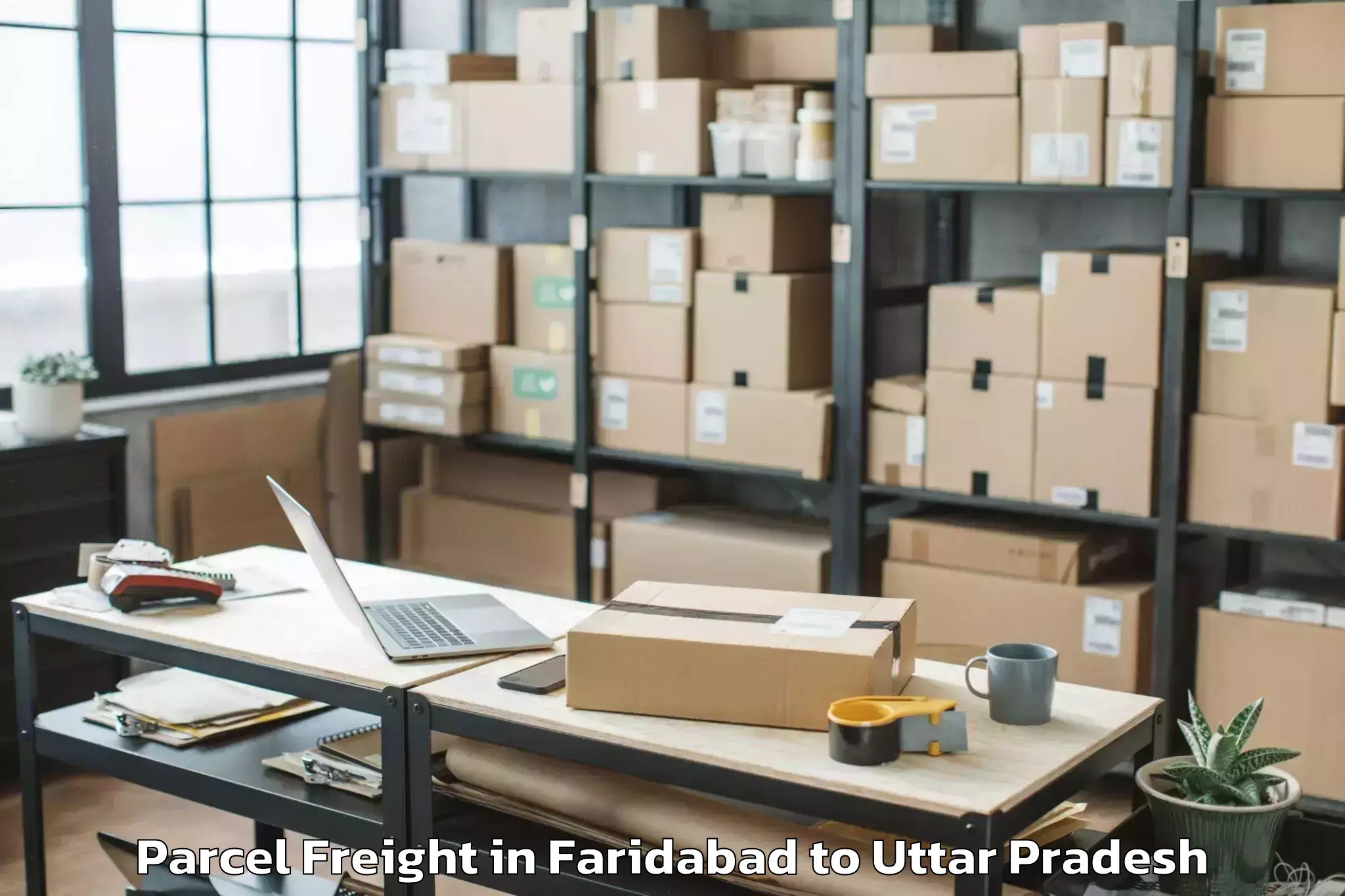 Efficient Faridabad to Bhiti Parcel Freight